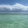 posh_islander